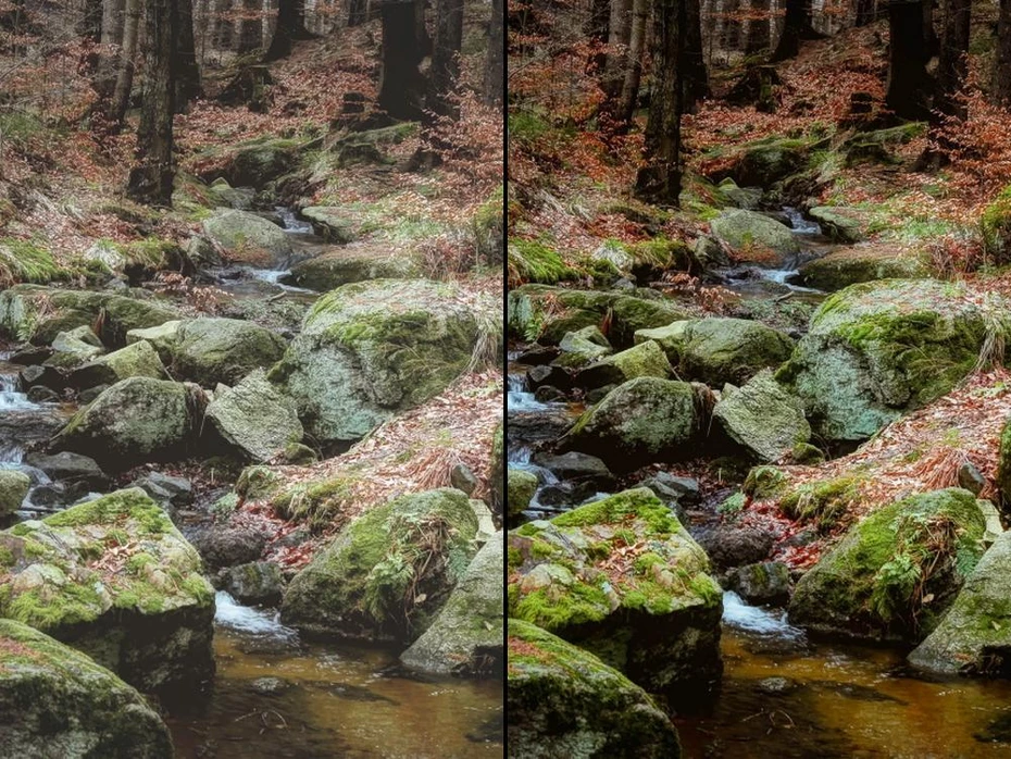 Cut and Paste Photos
