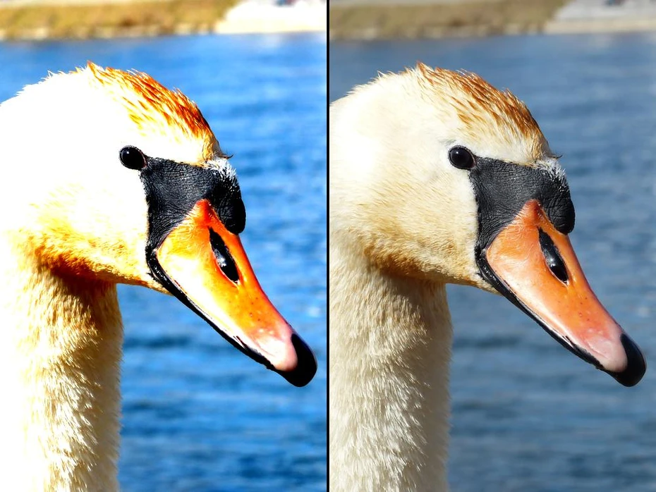 Edit Blurry Photos