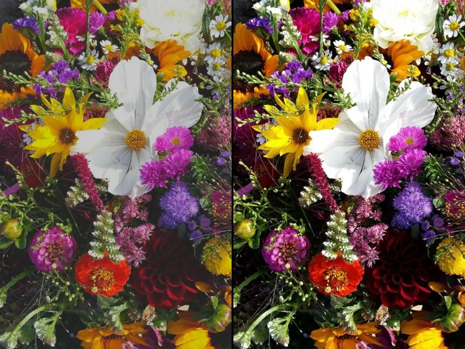 Photo Editor Maker